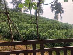 -天地生态农庄