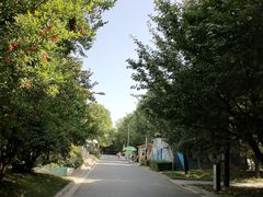 -清凉寺