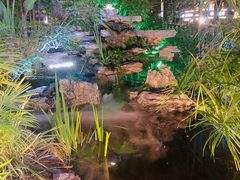 -聚缘·湘味音乐餐厅party(罗湖店)