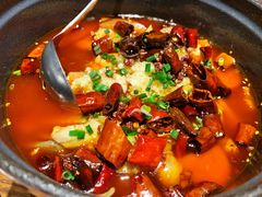 -肆海小川菜酒馆Wine Bistro (青年路店)