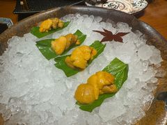 -月龍吟(朝龙汇店)