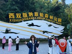 -西双版纳原始森林公园