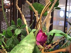 -新辣道鱼火锅(上地华联店)