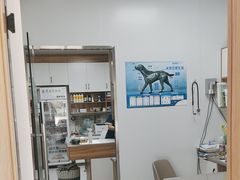 -丹景宠物医院·全科·老年病·牙科(武昌诊疗中心)