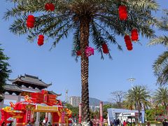 -飞来湖湿地公园