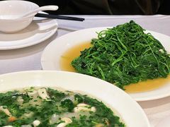 -老人和饭店(淮海中路店)