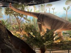 -陕西自然博物馆