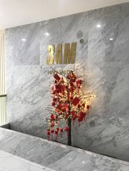 -3AM HAIR SALON染发接发