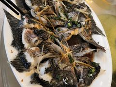 -广州市流溪河国家森林公园
