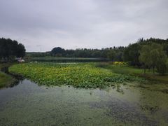 -东郊湿地公园