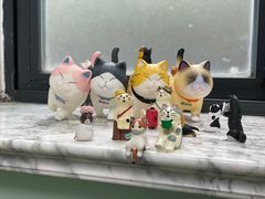 -申普宠物医院·心脏介入·心血管微创(总院)