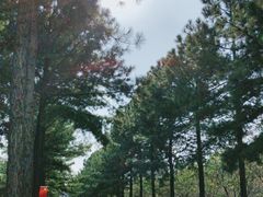 -同济大学(嘉定校区)