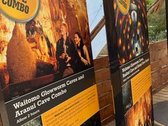 -怀托摩萤火虫洞