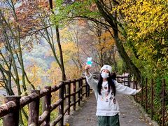 -少华山国家森林公园