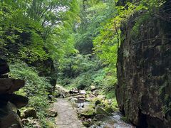 -五女峰国家森林公园