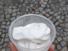 -洪馨椰子