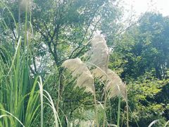-长广溪湿地公园