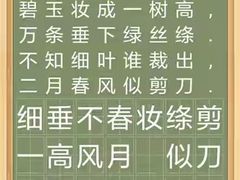 -多特儿童专注力·感统训练·注意力提升培训(锦峰训练中心)