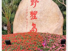 -野狸岛