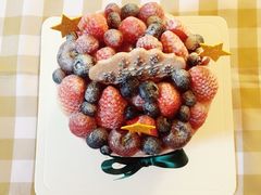 -EnergyCake蛋糕理想国