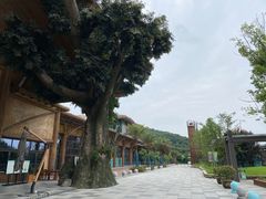 -杭州开元森泊度假乐园