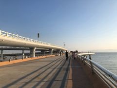 -演武大桥观景平台