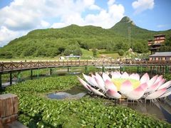 -帽儿山风景区
