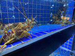 -徐记海鲜(汉城湖|太奥店)