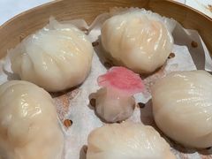 -新同乐鱼翅酒家(美丽华店)