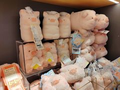 -九木杂物社(恒隆广场店)