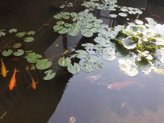 -天怡·鱼工厂(临江店)