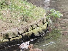 -水磨沟公园