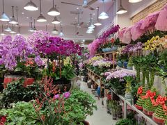 -双季花艺园艺市场(浦东店)