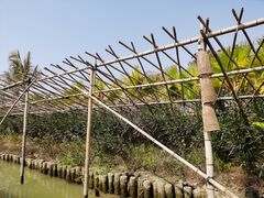 -江门古劳水乡旅游区