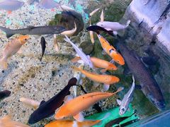 -常州海昌海洋探索馆