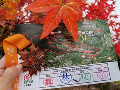 -田野绿世界