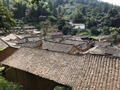 -杨家堂村