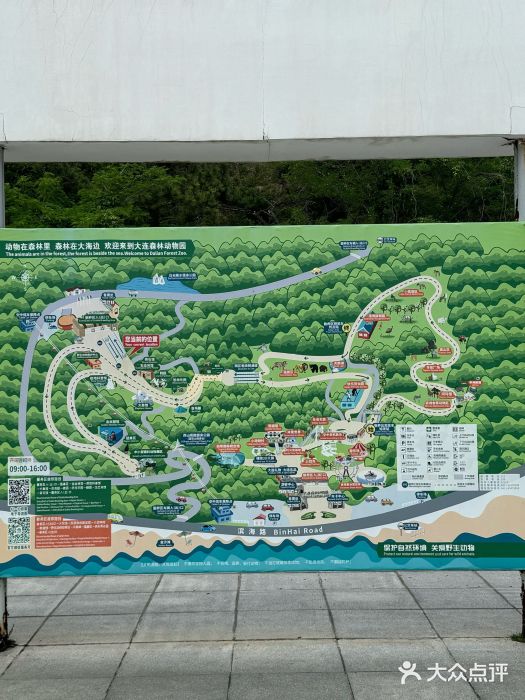 大连森林动物园图片