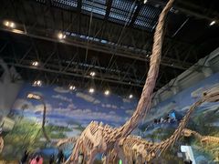 -自贡恐龙博物馆