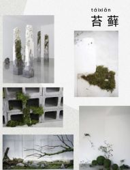 -琥珀婚礼策划AMBER WEDDING