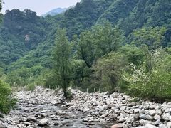 -都江堰石锅鱼