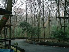 -WeLope紫金山探险公园