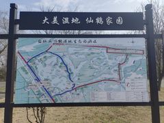 -盐城丹顶鹤湿地生态旅游区