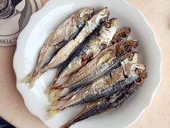 -巴浪鱼咖啡馆 Local Fish