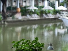 -喜洲吧·江畔老船厂·庭院餐厅(喜临院店)