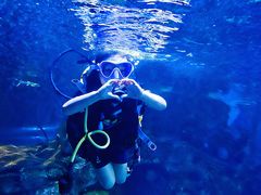 -太平洋海底世界