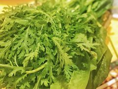 -清真·马家火锅美食城(镇江北路店)