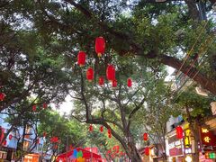 -越秀西湖花市(广州城市广场花卉店)