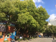 -上海外国语大学(虹口校区)