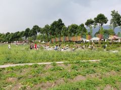 -太阳湾风景区